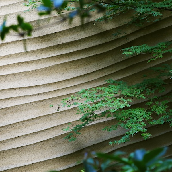 南北の壁と食堂への中庭
左官職人　久住 有生（くすみ なおき）氏

https://www.kusuminaoki.com